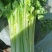 精品毛芹