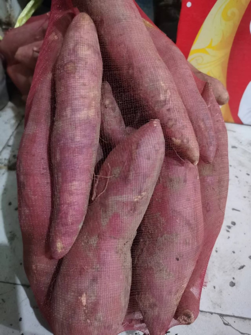 河南，蜜薯，烟薯，电商微商供货，不甜包退