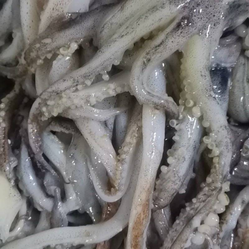 真鱿原料头！不泡水，不掉称！一件10公斤！70-90克！