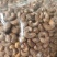 盐焗腰果悦南小宝A180巨大颗粒，颗粒饱满，质量上乘