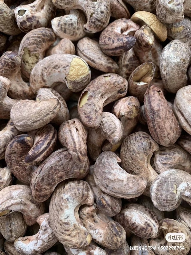 盐焗腰果悦南小宝A180巨大颗粒，颗粒饱满，质量上乘