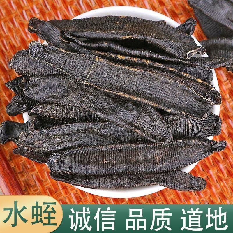 正宗特级水蛭干中药材清水无盐宽体水蛭干货蚂蟥水蛭