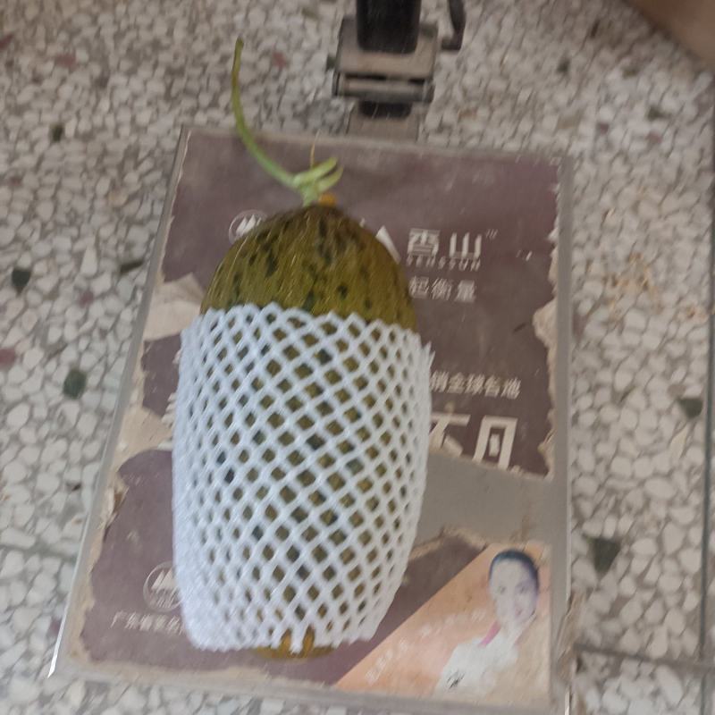 黑金蜜甜瓜，高糖，脆甜，清喉蜜瓜。