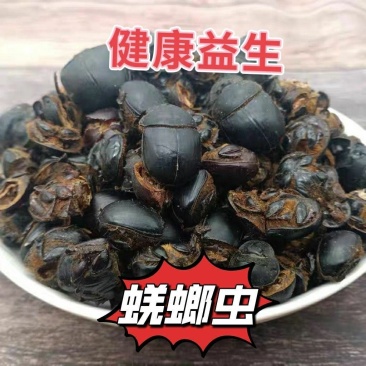 新货大将军中药材优质屎壳郎蜣螂虫推粪虫包邮清水