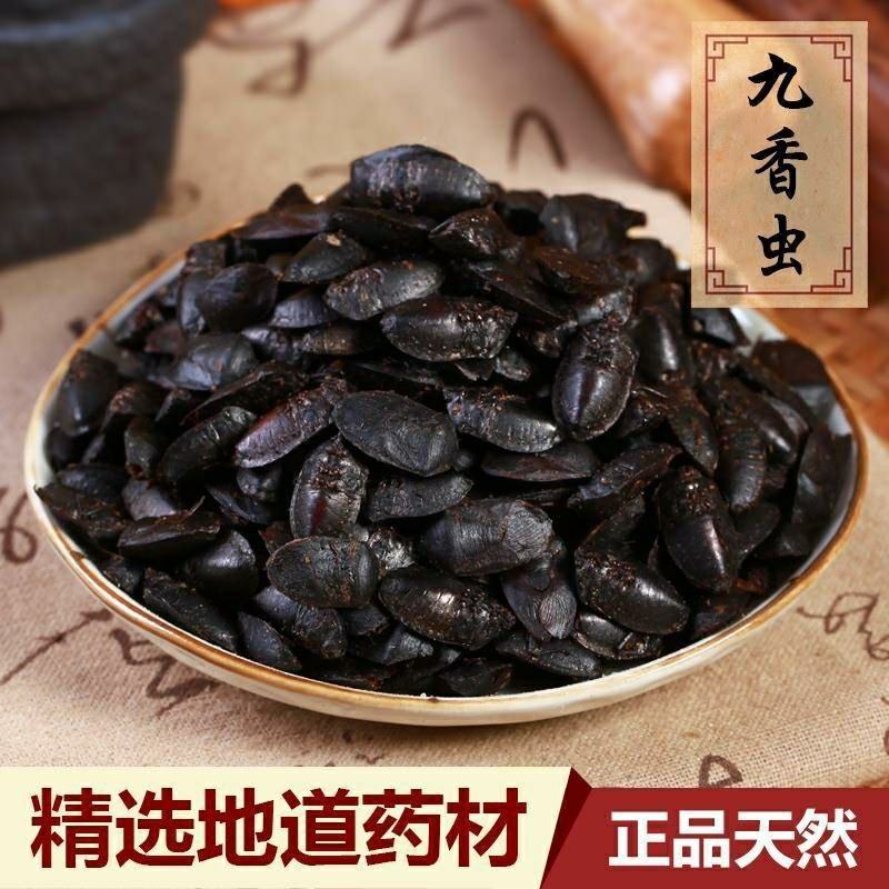 中药材九香虫大九香虫黑兜虫打屁虫臭大姐