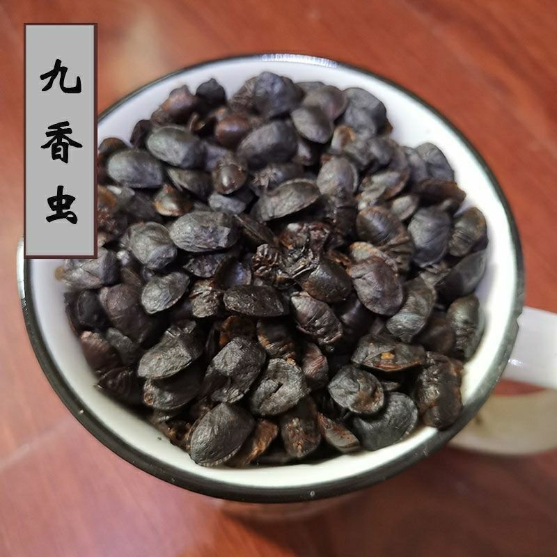 中药材九香虫大九香虫黑兜虫打屁虫臭大姐
