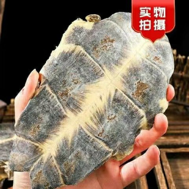 中药材龟板生龟板龟下板干龟板龟下盖正品龟板
