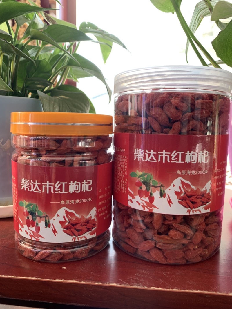 青海诺木洪精选大颗粒红枸杞~颜色正~干度干~足斤足两