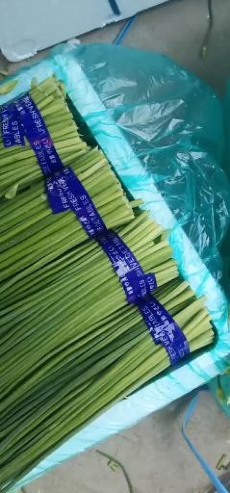 寿光韭苔大量上市，电商，微商可供。