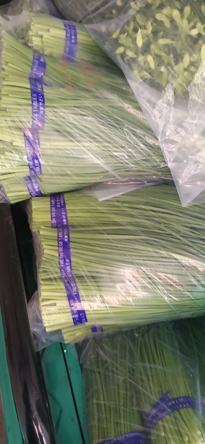 寿光韭苔大量上市，电商，微商可供。
