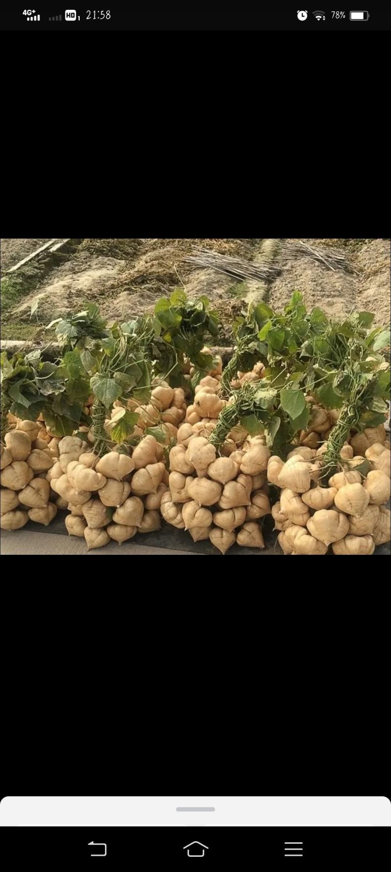 贵州安顺镇宁黄果树大烈山地萝卜凉署