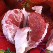 “当季热卖”平和琯溪蜜柚，精品果，一手货源！支持一件