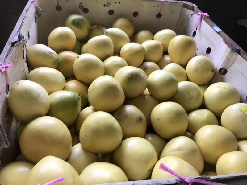 “当季热卖”平和琯溪蜜柚，精品果，一手货源！支持一件代发