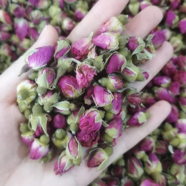 玫瑰花统装500g产地山东振兴药材购销站量大从优