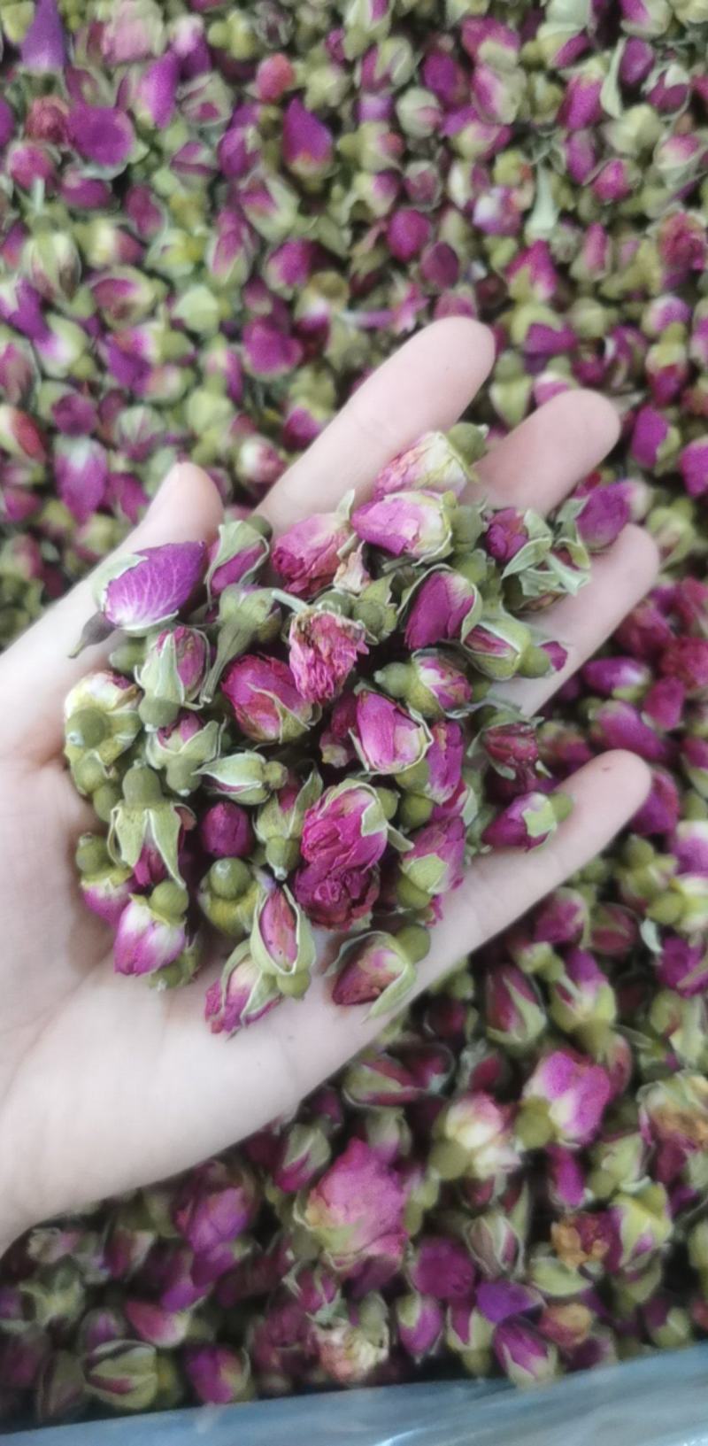 玫瑰花统装500g产地山东振兴药材购销站量大从优