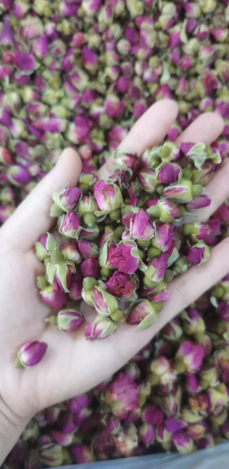 玫瑰花统装500g产地山东振兴药材购销站量大从优