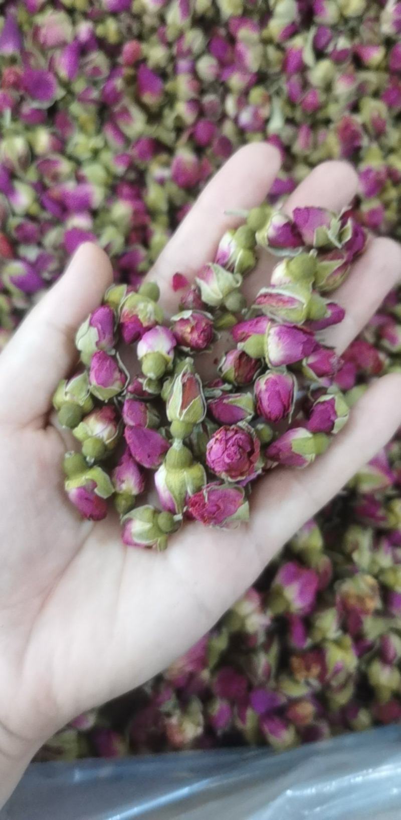 玫瑰花统装500g产地山东振兴药材购销站量大从优