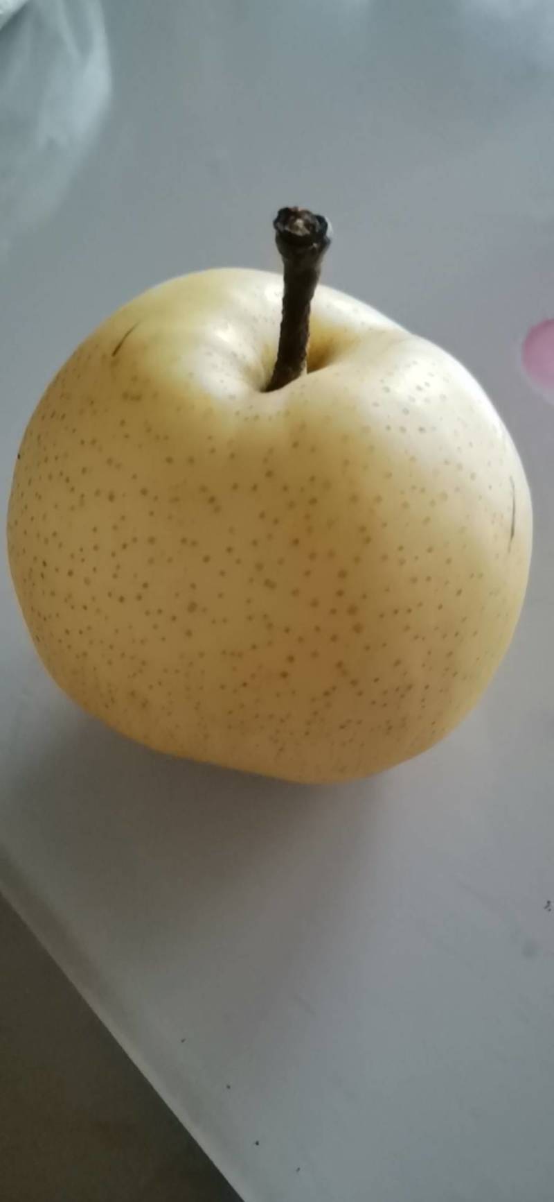 冠县黄金梨