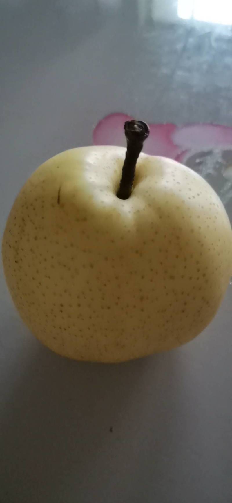 冠县黄金梨