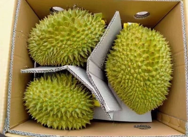泰国金枕榴莲大黄干包肉，不泡药水不催熟。