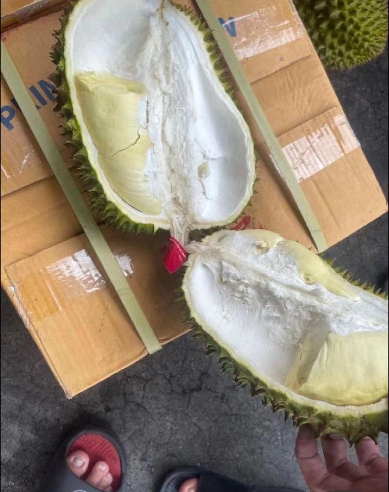 泰国金枕榴莲大黄干包肉，不泡药水不催熟。
