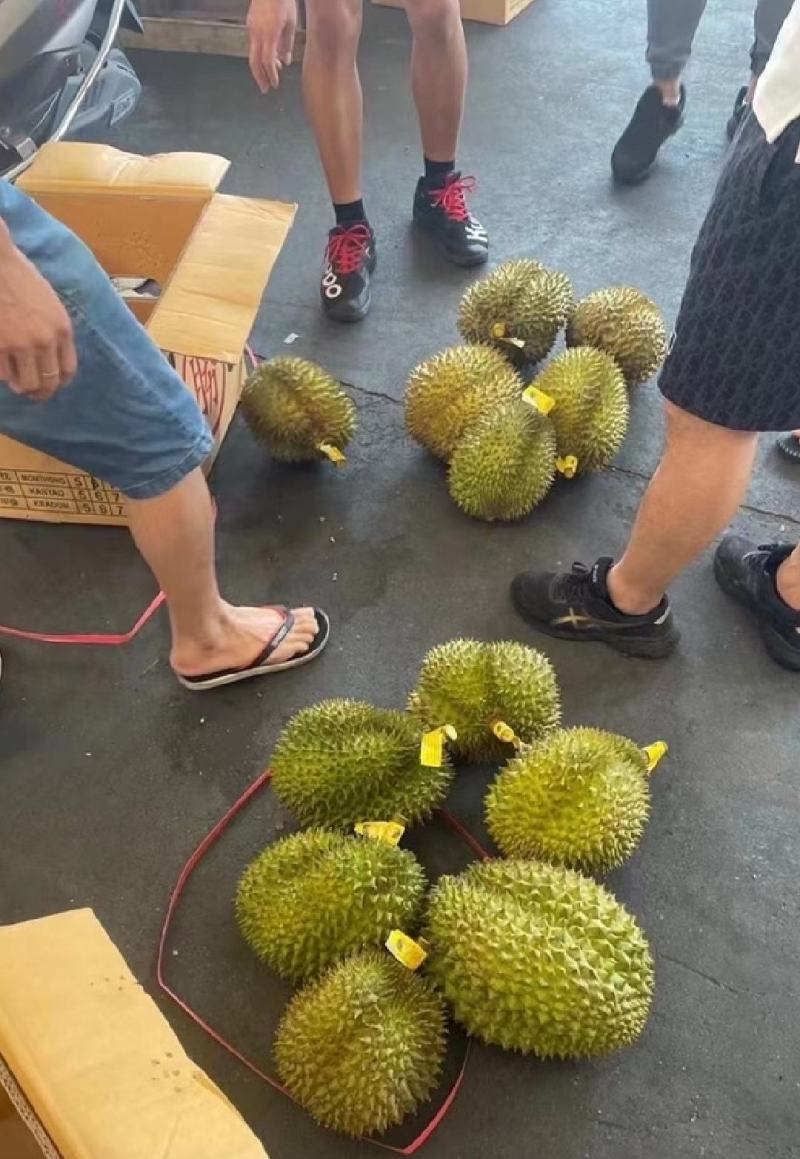 泰国金枕榴莲大黄干包肉，不泡药水不催熟。