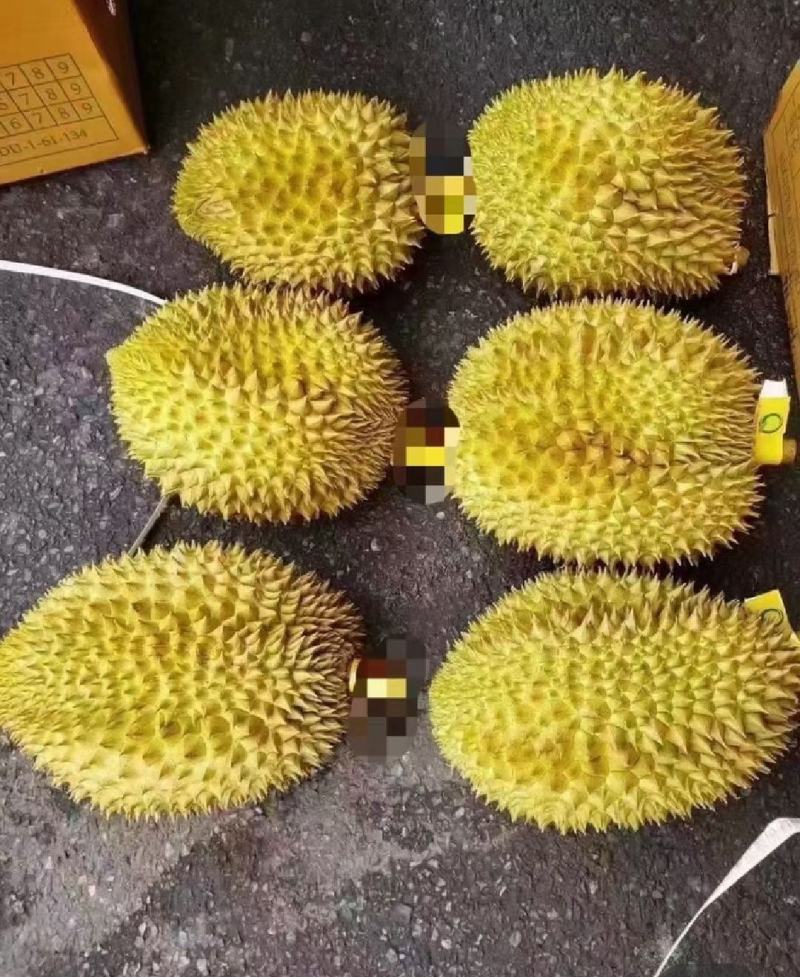 泰国金枕榴莲大黄干包肉，不泡药水不催熟。
