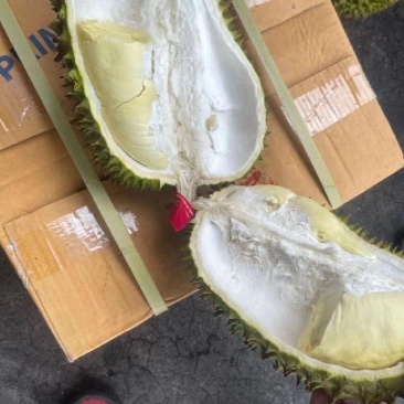 泰国金枕榴莲大黄干包肉，不泡药水不催熟。