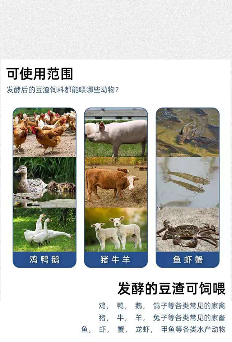 益富源豆渣发酵剂养殖专用发酵保存时间长喂猪牛羊