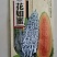 花皮甜瓜种子超甜香瓜早熟香甜可口多汁酥脆春夏四季播种籽