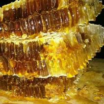 成熟土蜂蜜一件土蜂蜜秦岭土蜂蜜百花蜜中蜂蜜