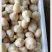 【腌蒜】糖蒜糖醋蒜头泡菜咸菜酸甜脆爽农家自制山东新鲜小蒜