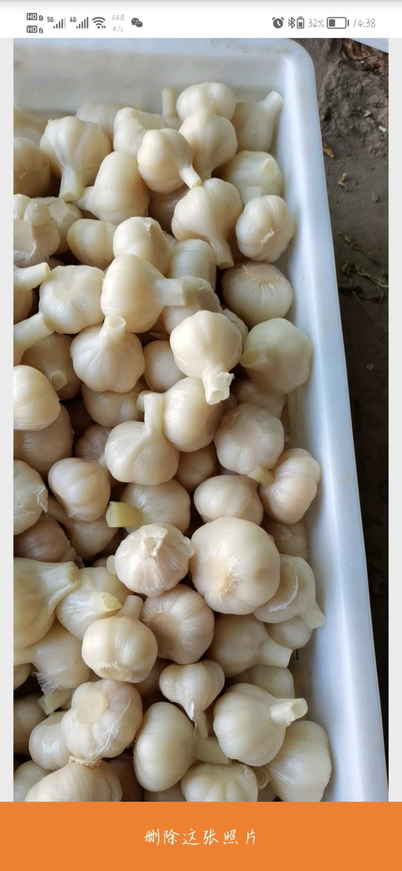 【腌蒜】糖蒜糖醋蒜头泡菜咸菜酸甜脆爽农家自制山东新鲜小蒜