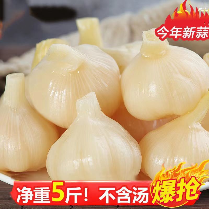 【腌蒜】糖蒜糖醋蒜头泡菜咸菜酸甜脆爽农家自制山东新鲜小蒜