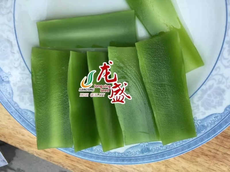 龙盛三青莴笋种子绿叶绿皮绿肉香莴笋种子耐寒莴苣种子