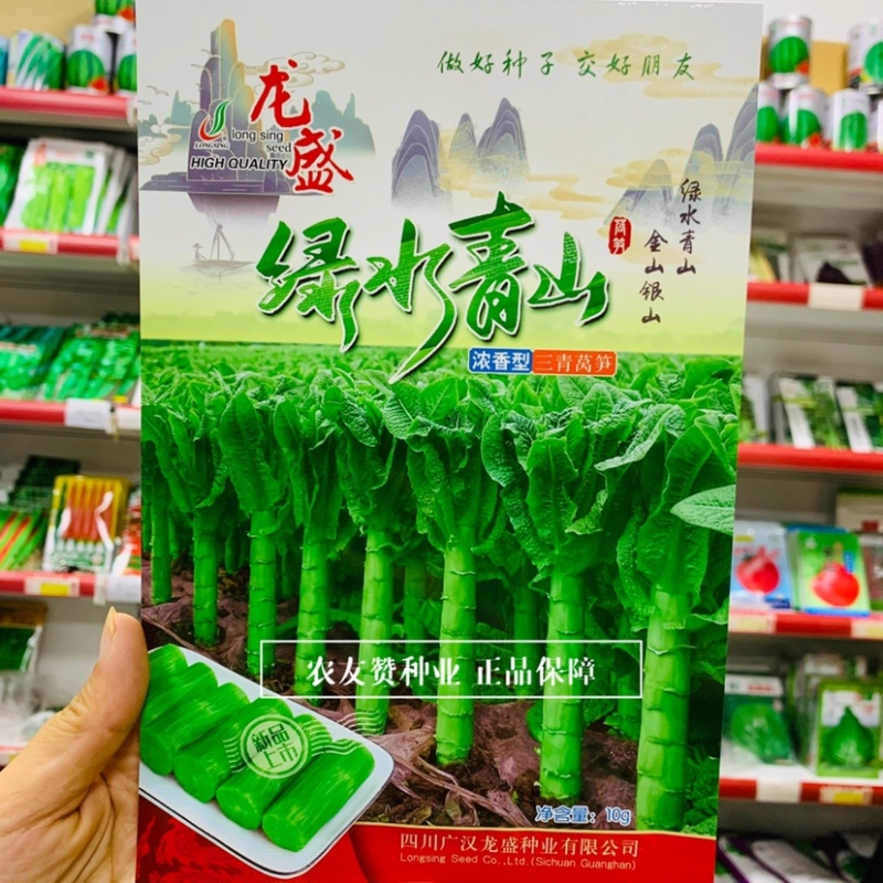 龙盛三青莴笋种子绿叶绿皮绿肉香莴笋种子耐寒莴苣种子