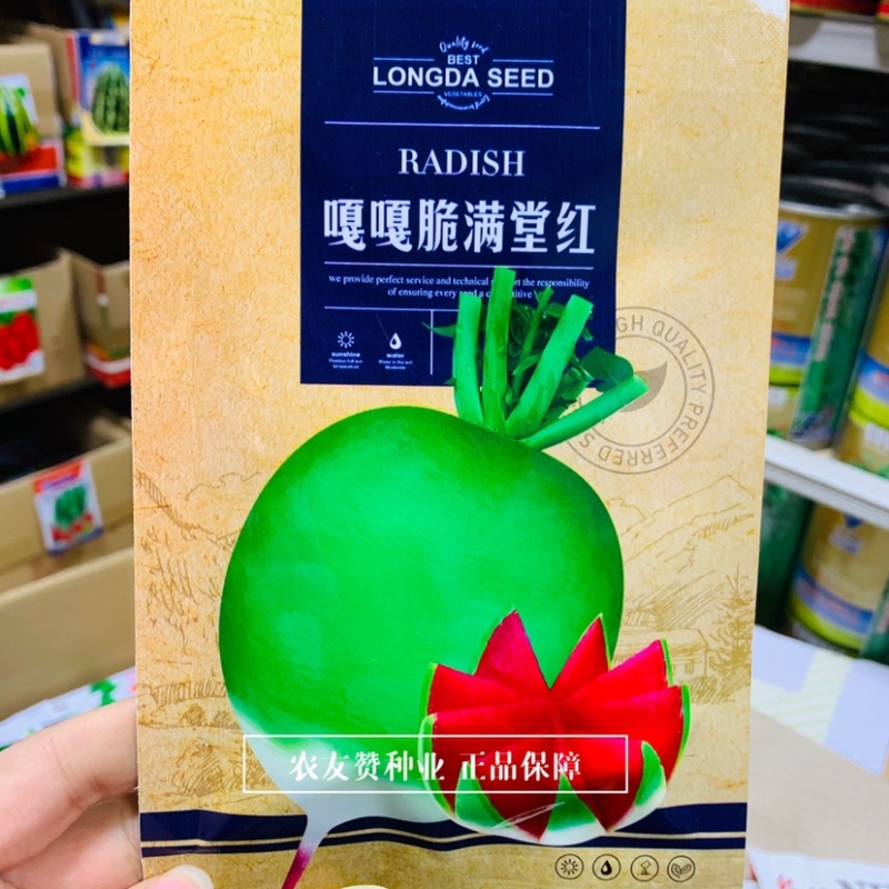 嘎嘎脆满堂红萝卜种子花叶抗裂味甜质脆瓤红心里美萝卜种子