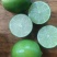 香水无籽柠檬大量有货