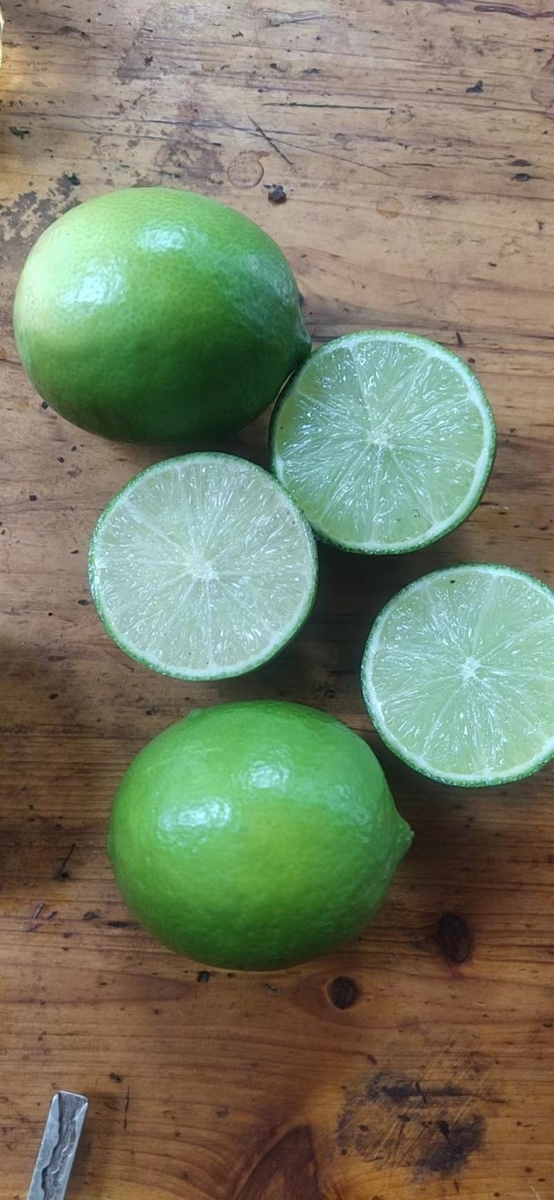 香水无籽柠檬大量有货
