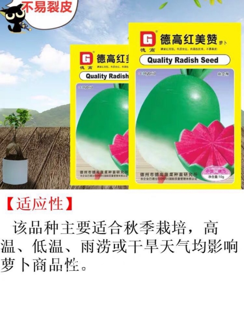 红美赞萝卜种子不易裂皮心里美萝卜种子甜脆满堂红萝卜种