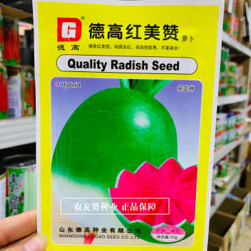 红美赞萝卜种子不易裂皮心里美萝卜种子甜脆满堂红萝卜种