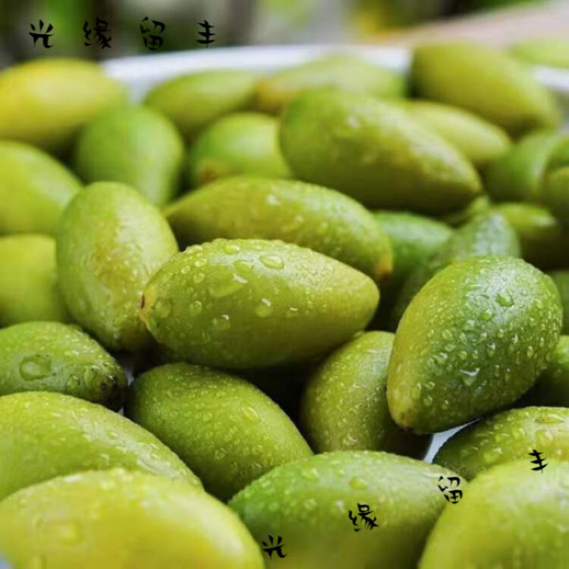 潮汕青橄榄绿色食品现摘现现卖支持批发零售产园揭西泡酒煲汤