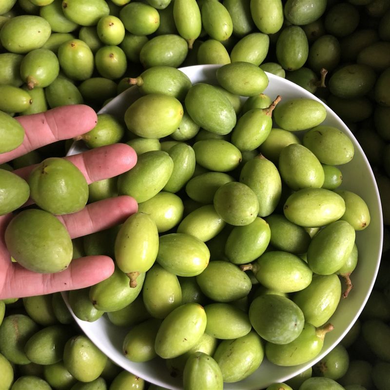 潮汕青橄榄绿色食品现摘现现卖支持批发零售产园揭西泡酒煲汤