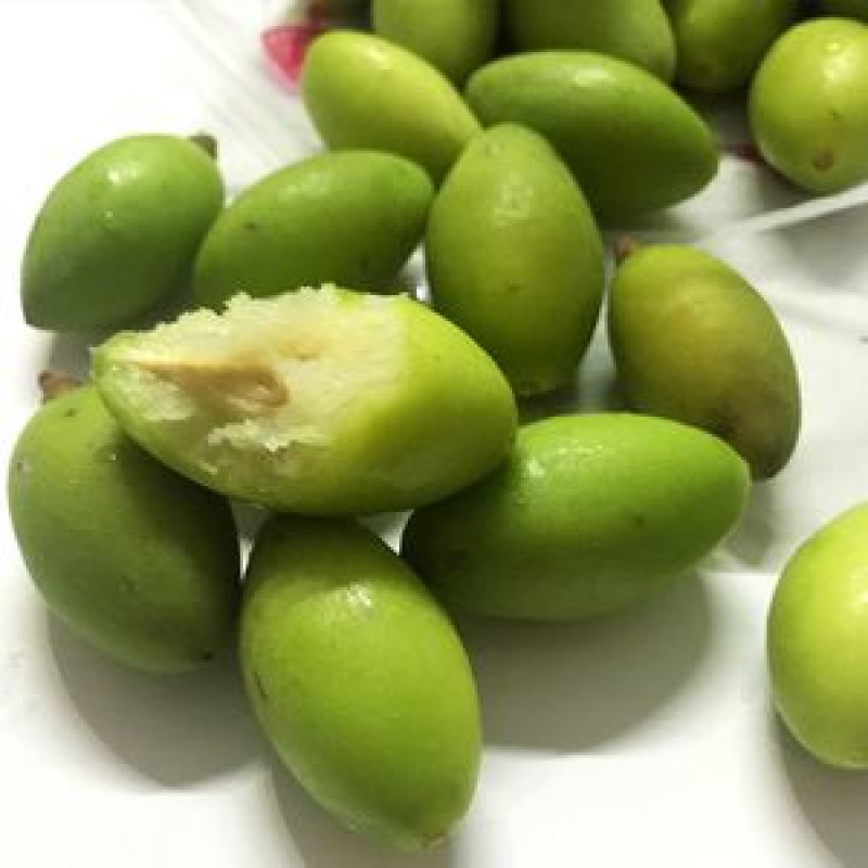 潮汕青橄榄绿色食品现摘现现卖支持批发零售产园揭西泡酒煲汤