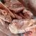 尾叉骨质量特别好14000