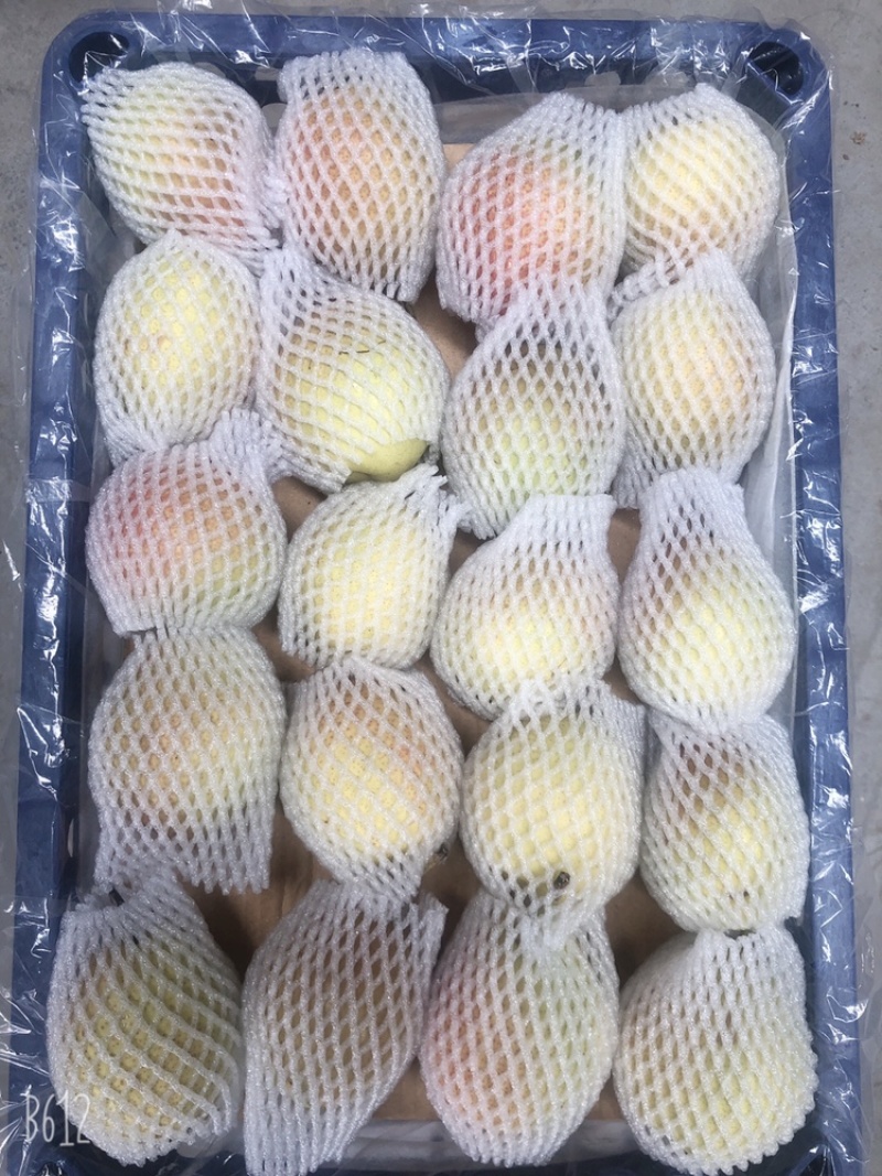 山西运城龙居美玉一抹红晕果库红香酥