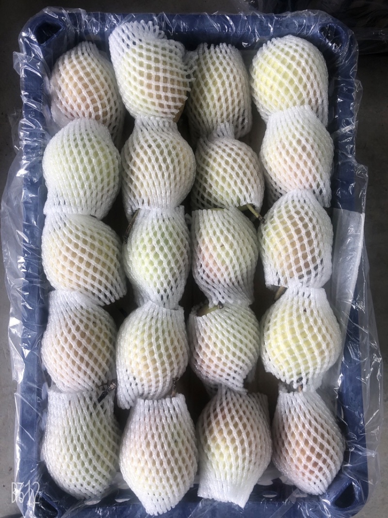 山西运城龙居美玉一抹红晕果库红香酥
