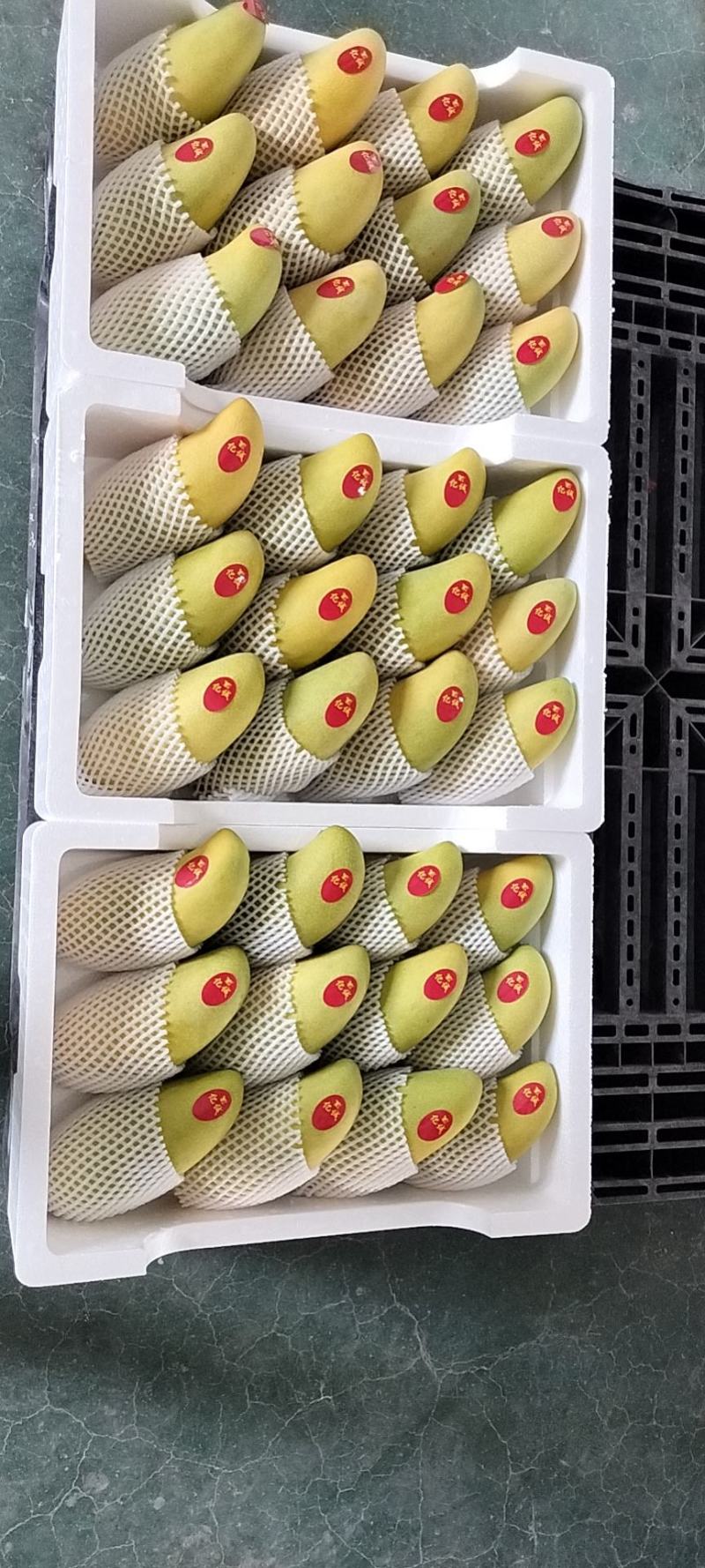 水仙芒
