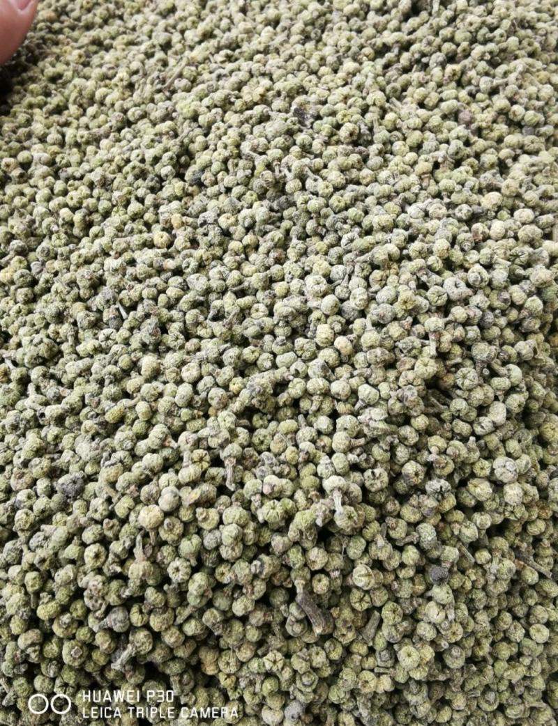 吴茱萸江西吴茱萸干货包邮