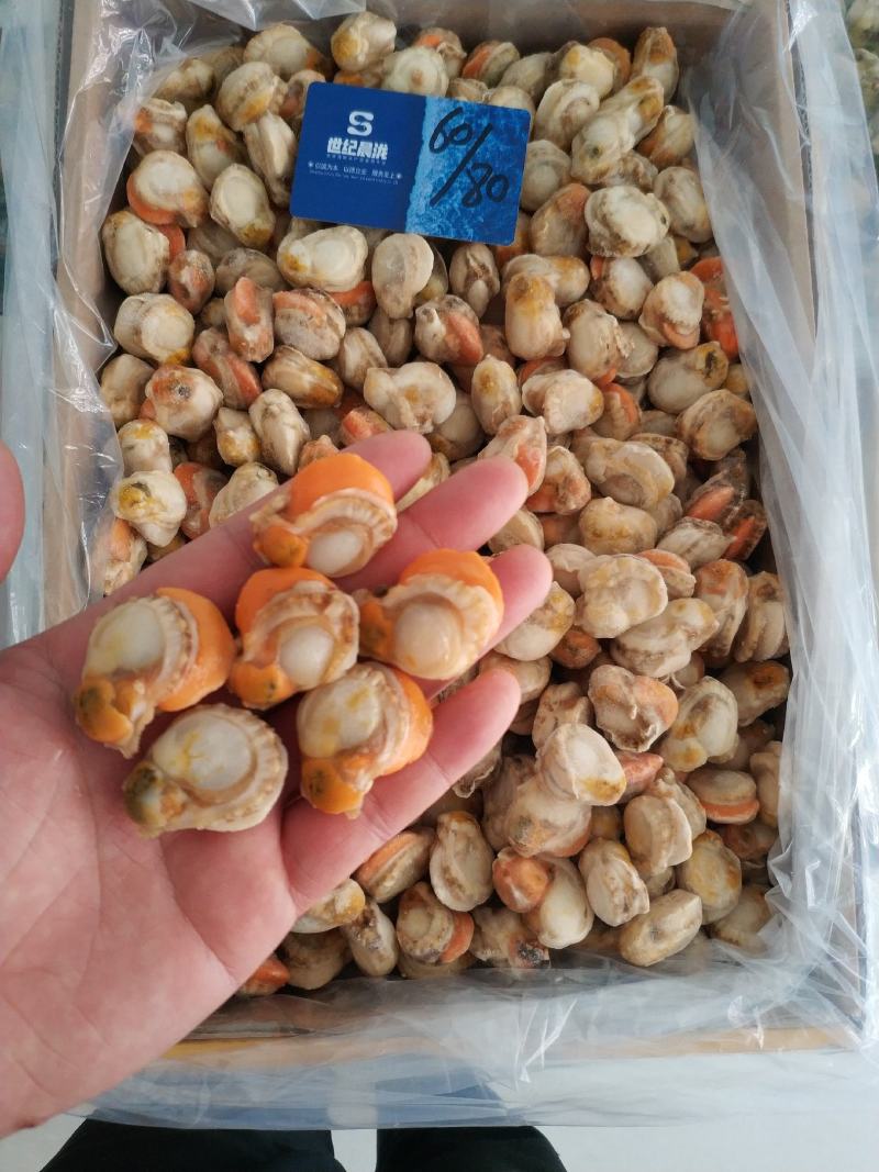 原汁扇贝肉正宗长岛红贝带黄率高每件2包10斤/件